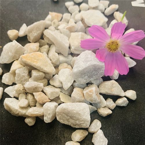 多年來與科研單位合作,不斷產(chǎn)品結(jié)構(gòu),為拓展市場,由原來單 一的濾料銷