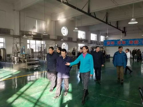 集團(tuán)總經(jīng)理王爽一行到水表廠(chǎng) 凈水劑分公司 四水廠(chǎng)進(jìn)行節(jié)日慰問(wèn)并指導(dǎo)工作